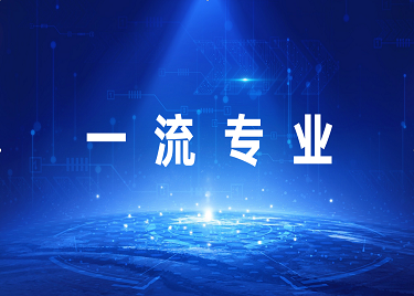 一流本科专业建设点